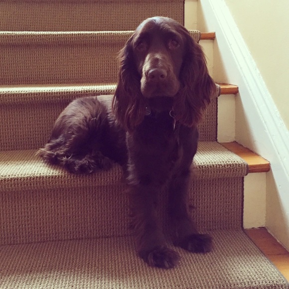 Meet your Posher, Claire - Picture 1 of 1